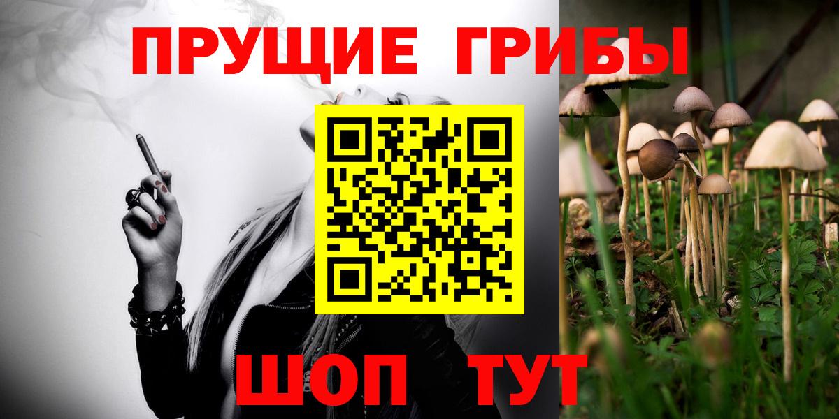 хочу   Псилоцибиновые грибы MAGIC MUSHROOMS  Вход с VPN  Щёлково  Галлюциногенные грибы мицелий 