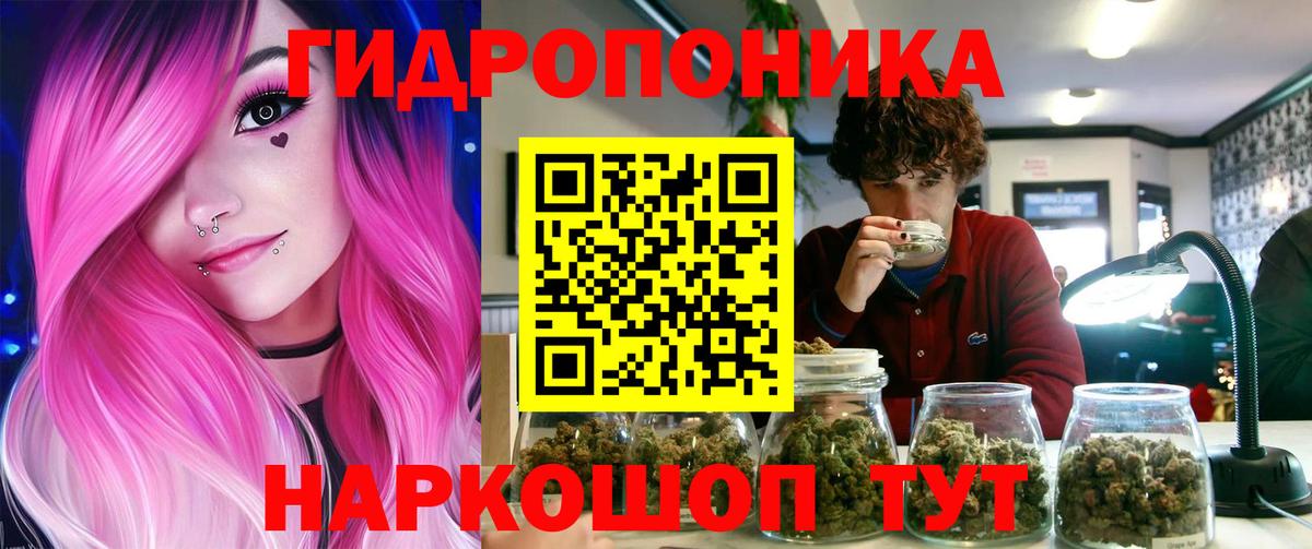 Каннабис сатива  Конопля Amnesia  Бошки марихуана OG Kush  Каннабис LSD WEED  Щёлково  Вход с VPN 